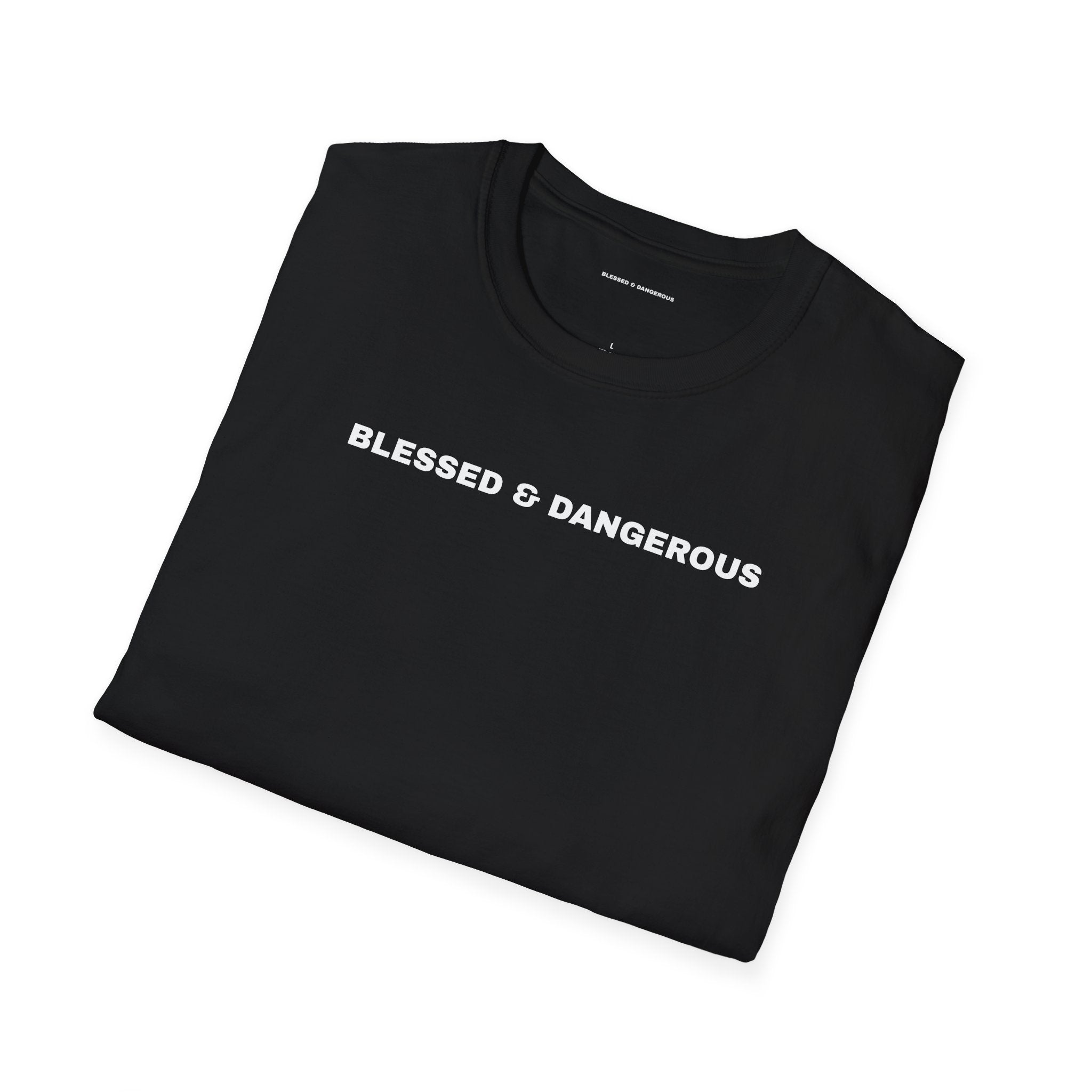 Blessed & Dangerous Signature Tee